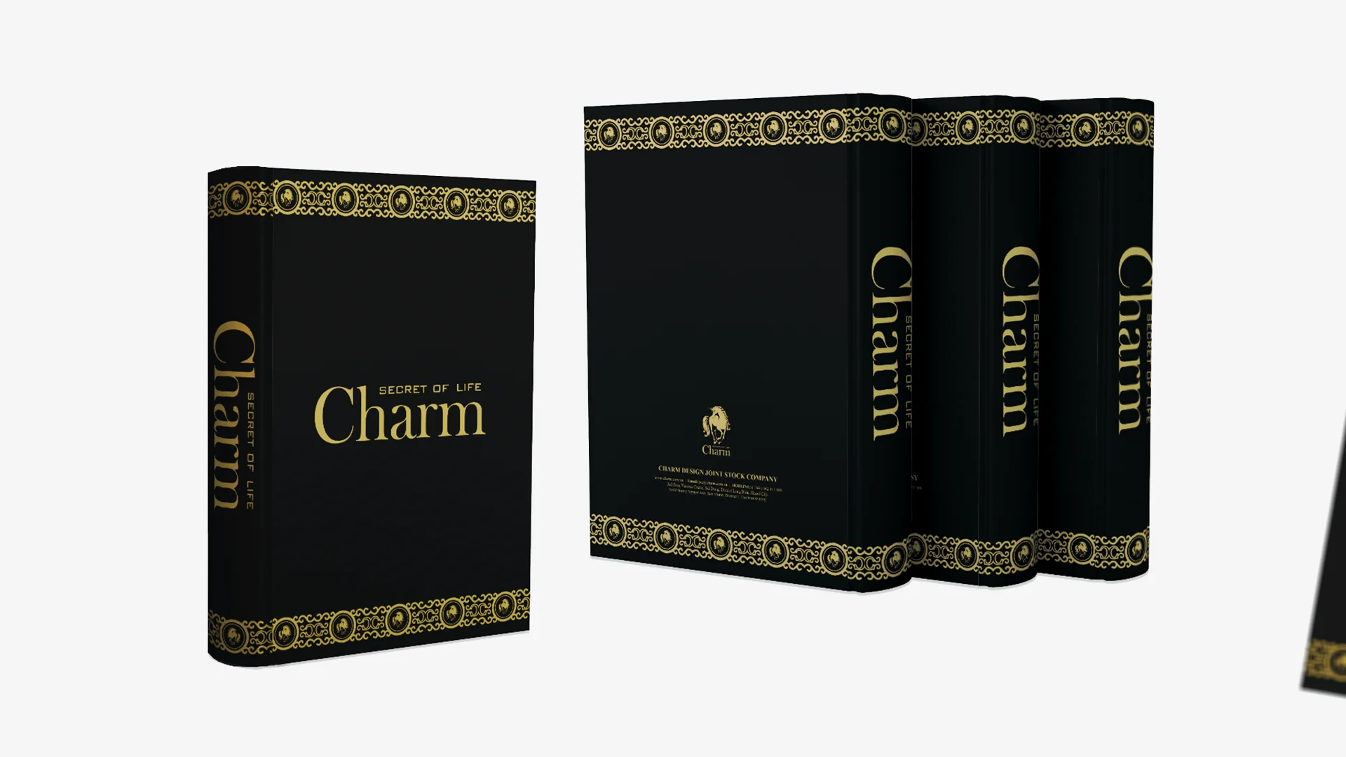 Bìa bộ sưu tập Charm