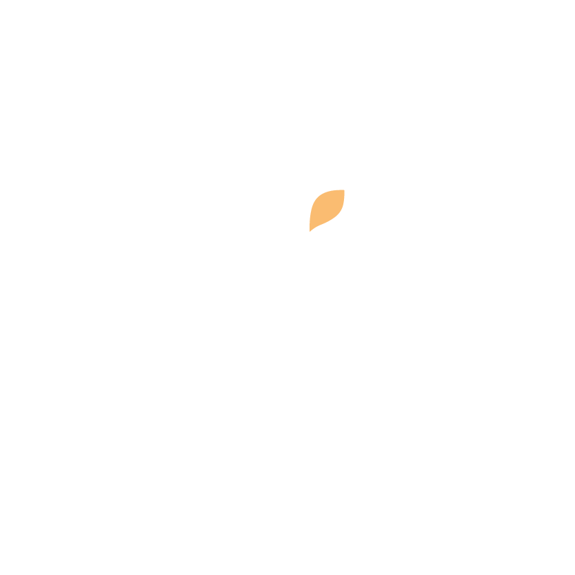 Wix-Logo